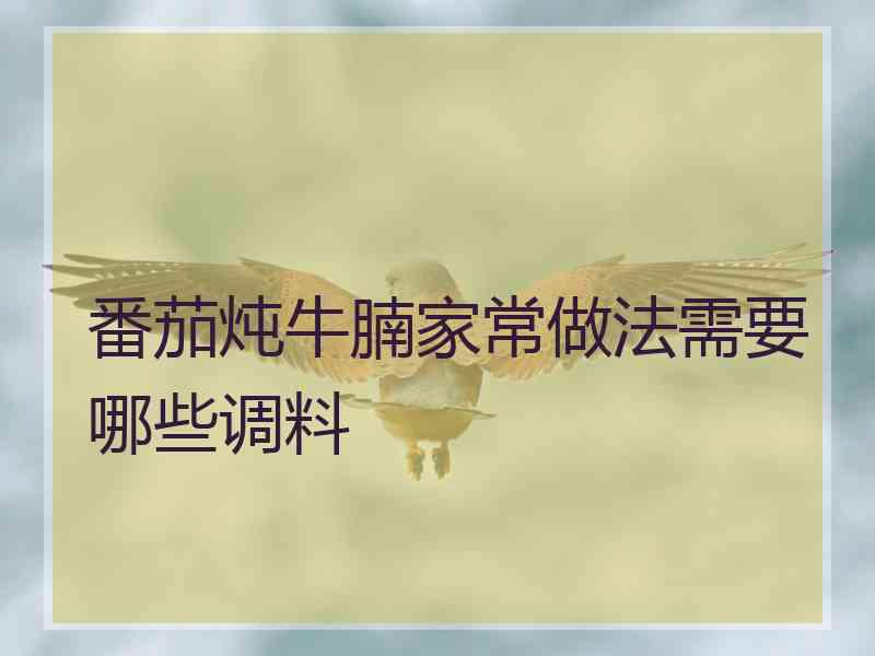 番茄炖牛腩家常做法需要哪些调料