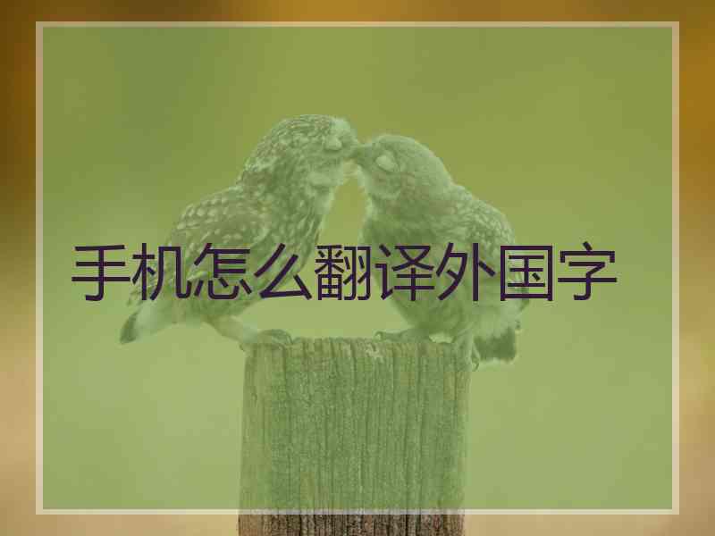 手机怎么翻译外国字