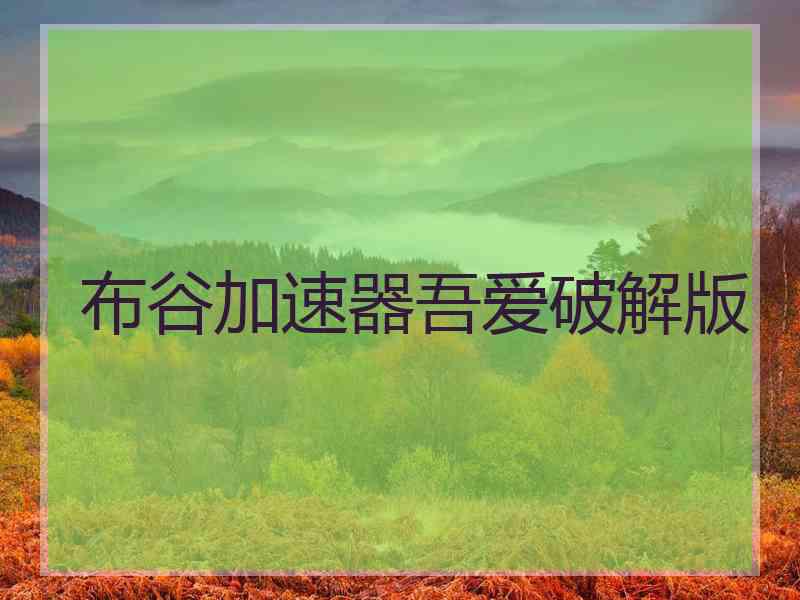 布谷加速器吾爱破解版
