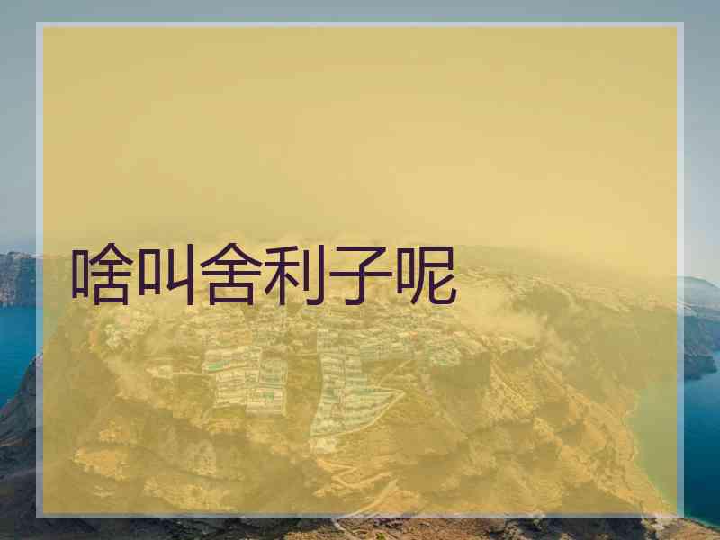 啥叫舍利子呢