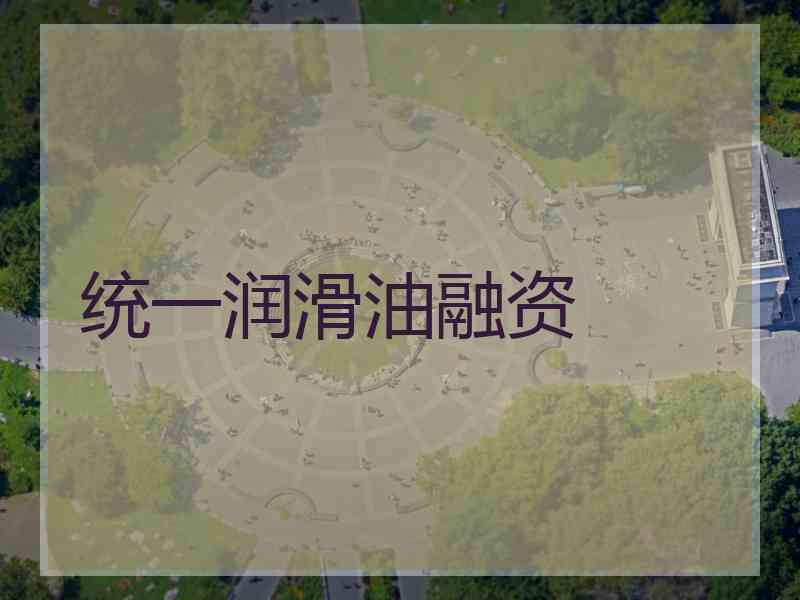 统一润滑油融资