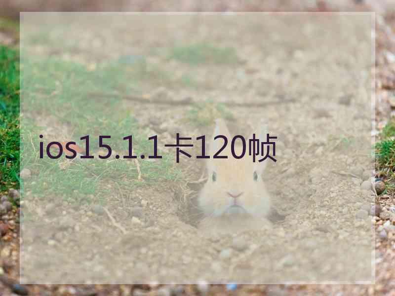 ios15.1.1卡120帧