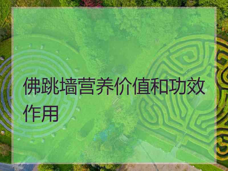 佛跳墙营养价值和功效作用