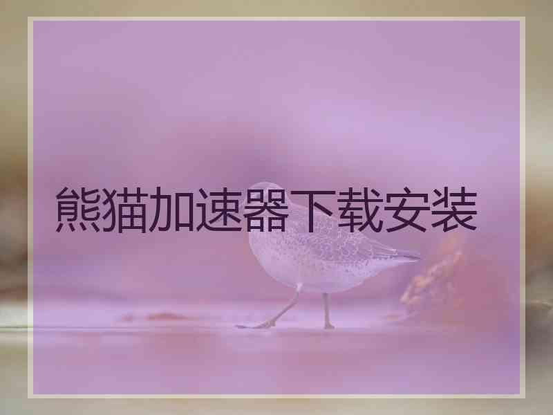 熊猫加速器下载安装