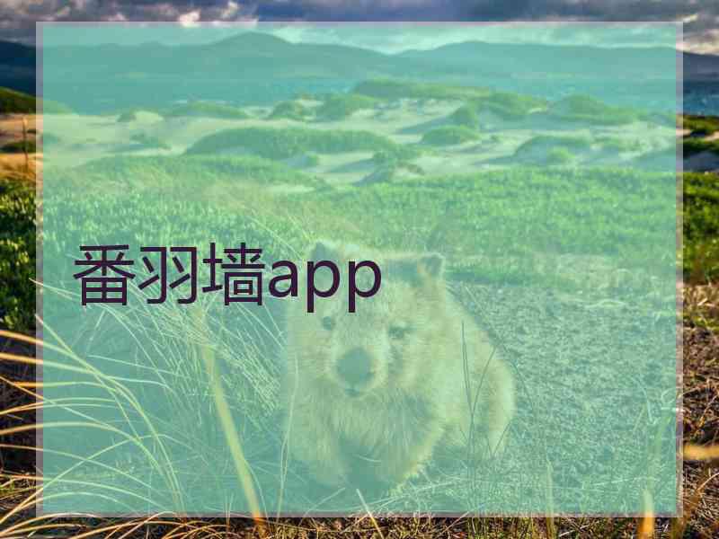 番羽墙app