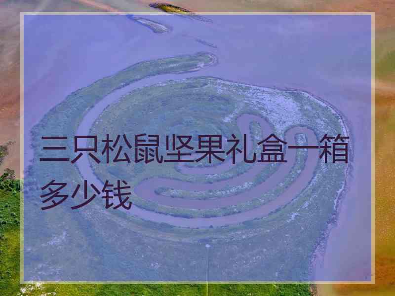 三只松鼠坚果礼盒一箱多少钱