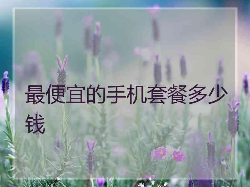 最便宜的手机套餐多少钱