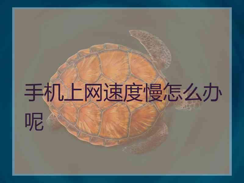 手机上网速度慢怎么办呢
