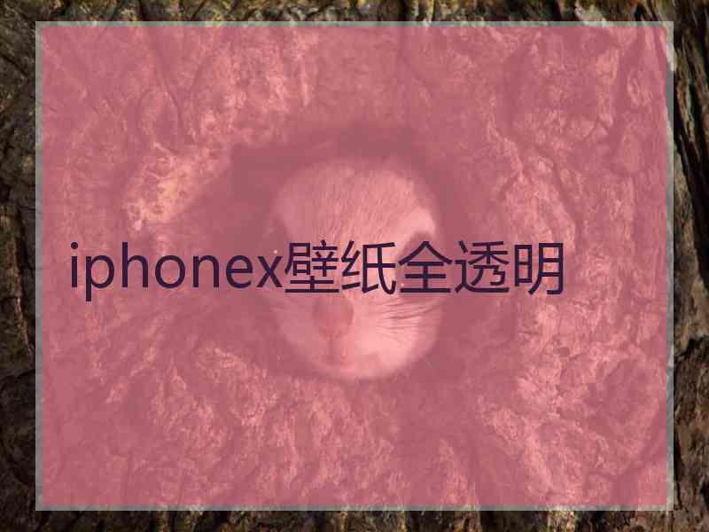 iphonex壁纸全透明