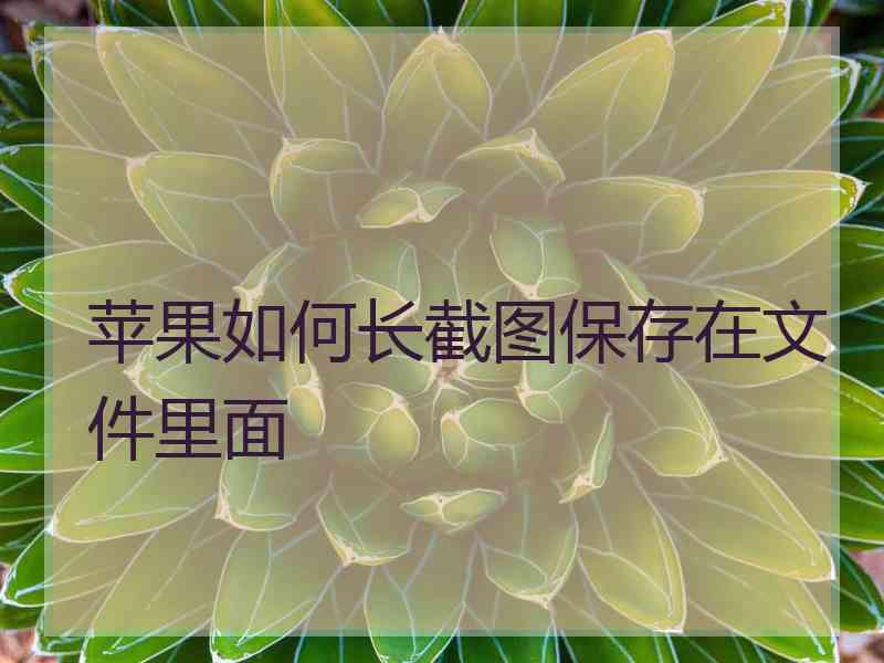 苹果如何长截图保存在文件里面