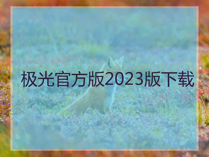 极光官方版2023版下载