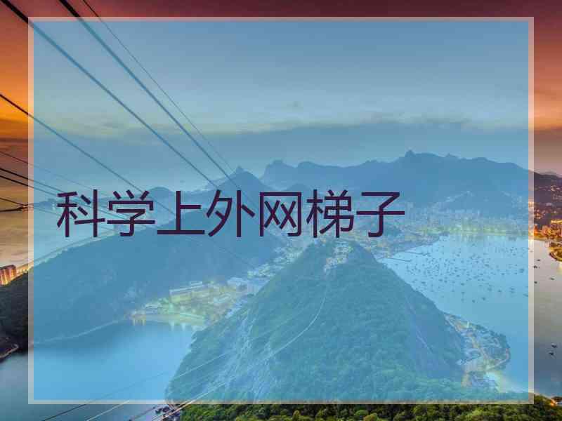 科学上外网梯子