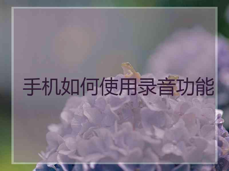 手机如何使用录音功能