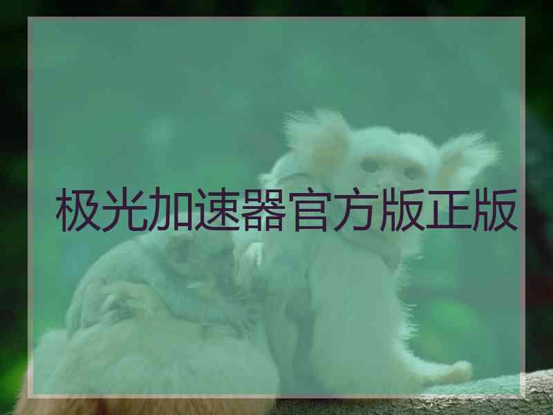 极光加速器官方版正版