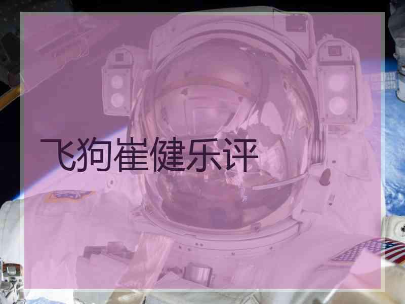 飞狗崔健乐评