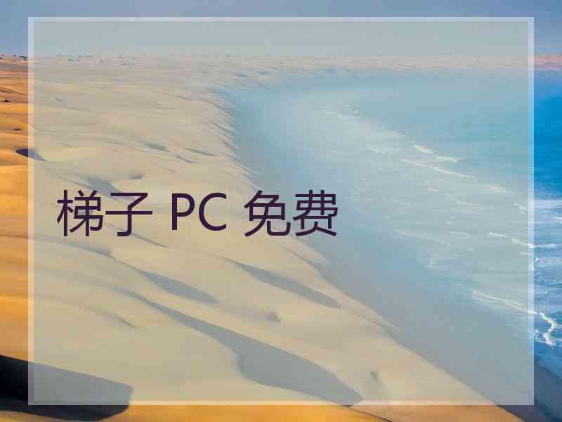 梯子 PC 免费