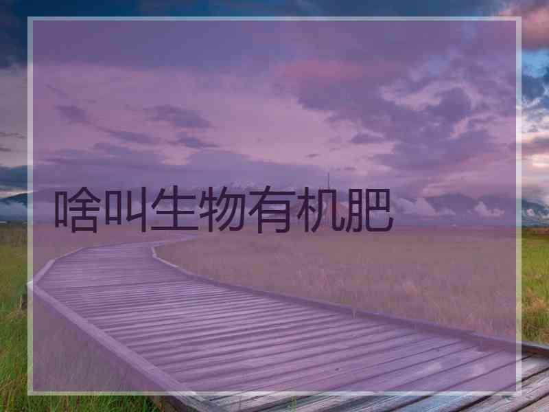 啥叫生物有机肥