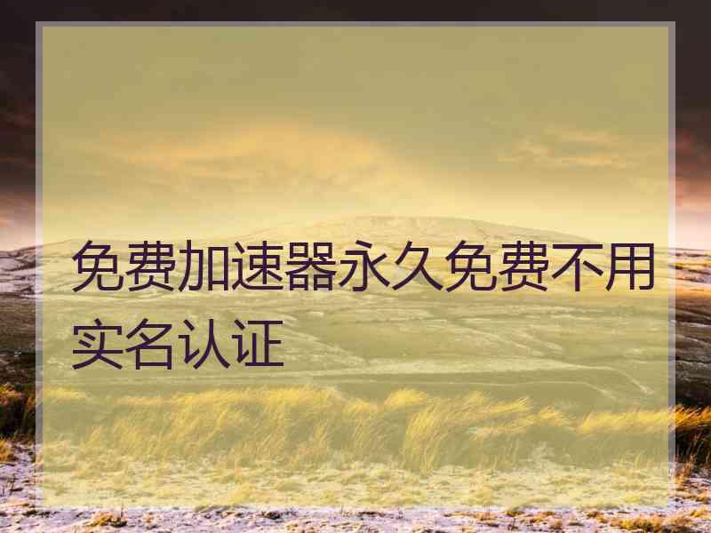 免费加速器永久免费不用实名认证
