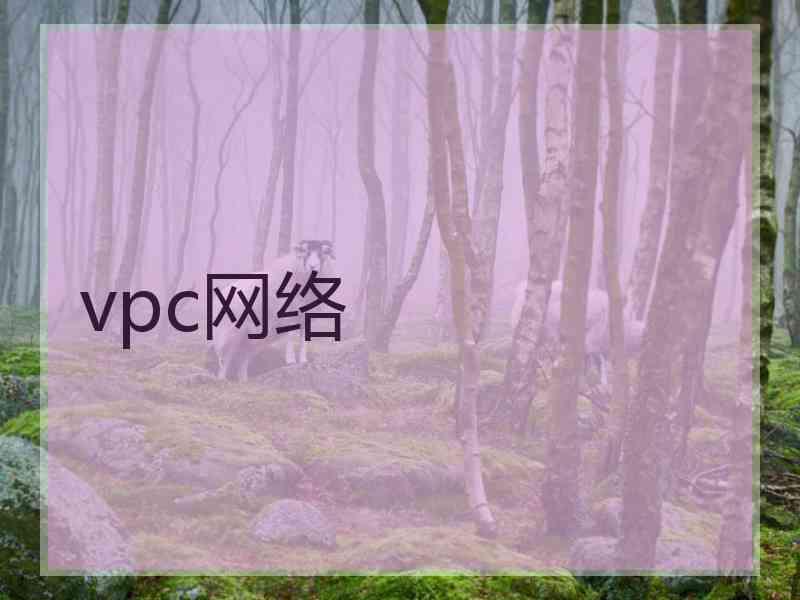 vpc网络