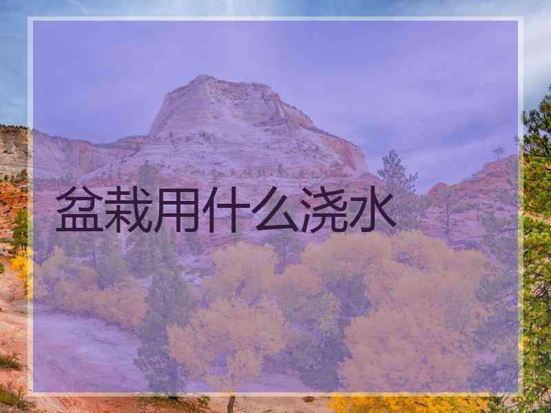 盆栽用什么浇水