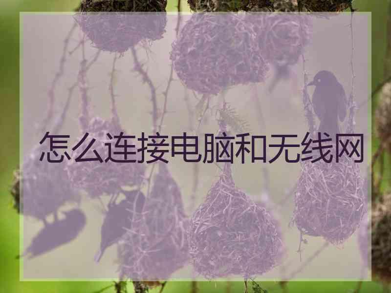 怎么连接电脑和无线网