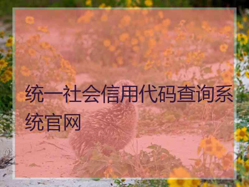 统一社会信用代码查询系统官网