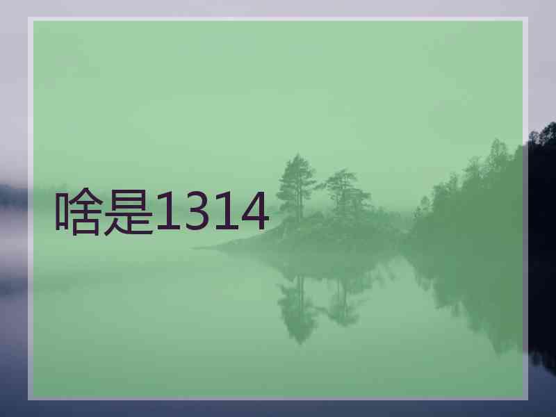 啥是1314