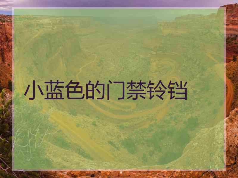 小蓝色的门禁铃铛