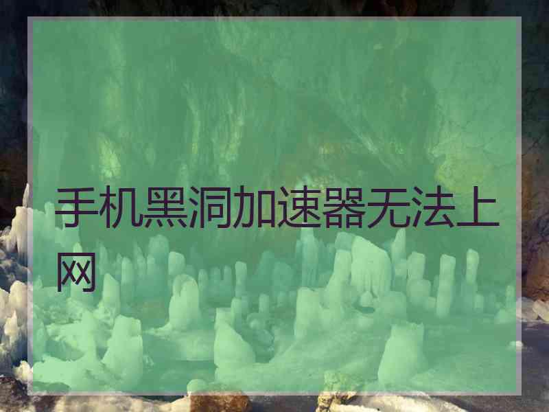 手机黑洞加速器无法上网