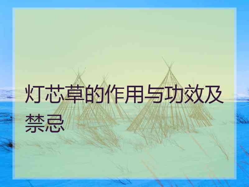 灯芯草的作用与功效及禁忌