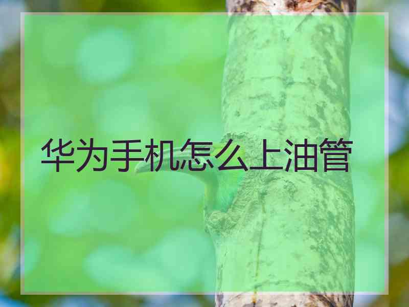 华为手机怎么上油管
