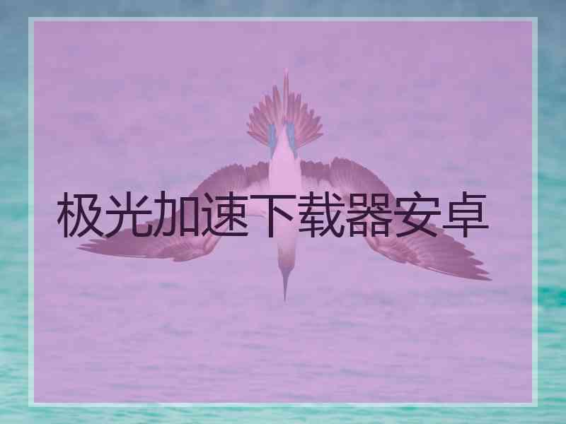 极光加速下载器安卓