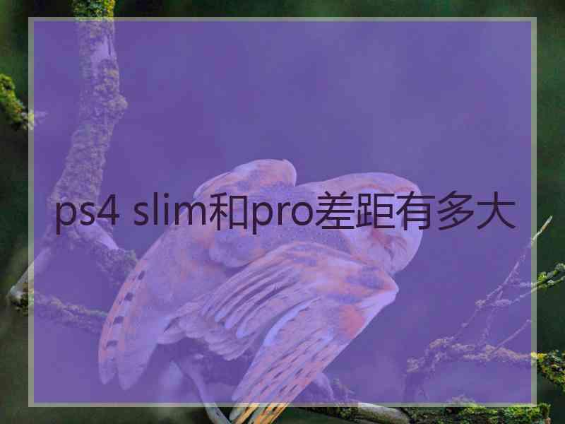 ps4 slim和pro差距有多大