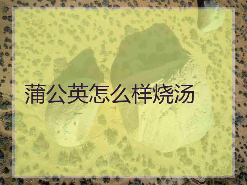 蒲公英怎么样烧汤