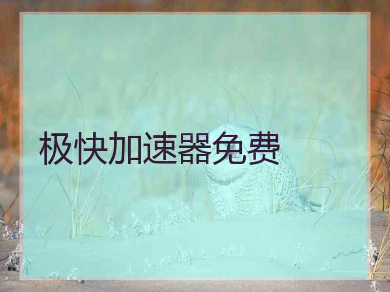 极快加速器免费