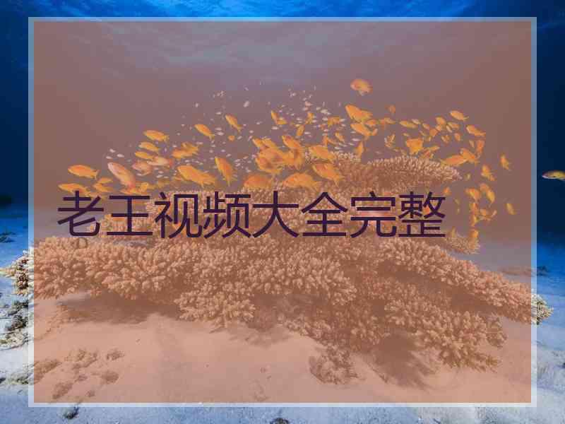 老王视频大全完整