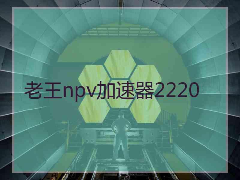 老王npv加速器2220