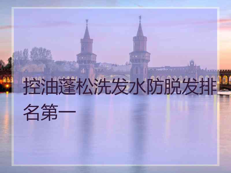 控油蓬松洗发水防脱发排名第一