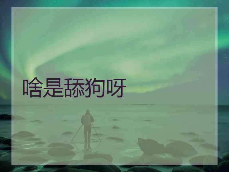 啥是舔狗呀