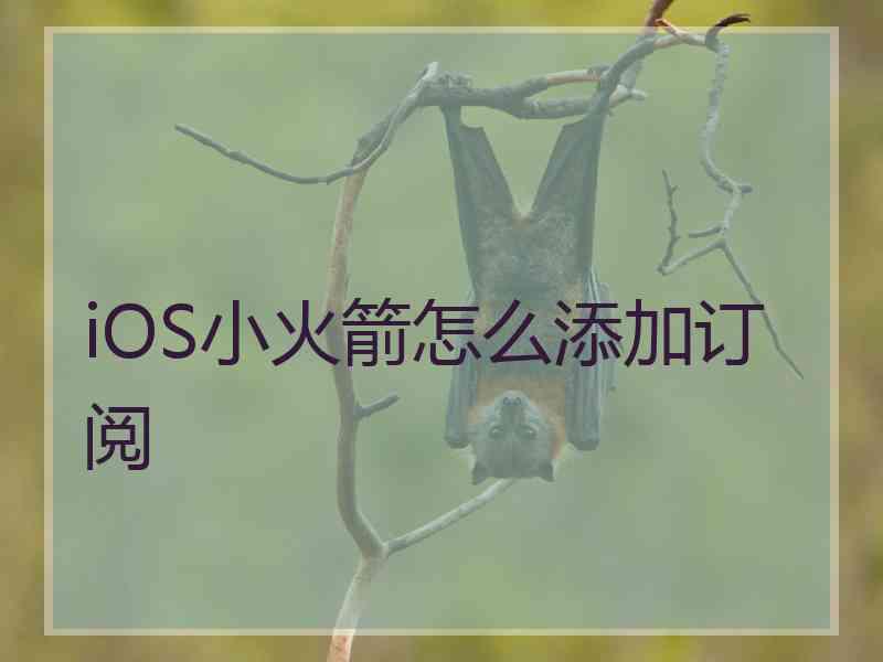 iOS小火箭怎么添加订阅