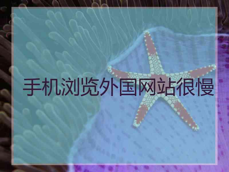 手机浏览外国网站很慢