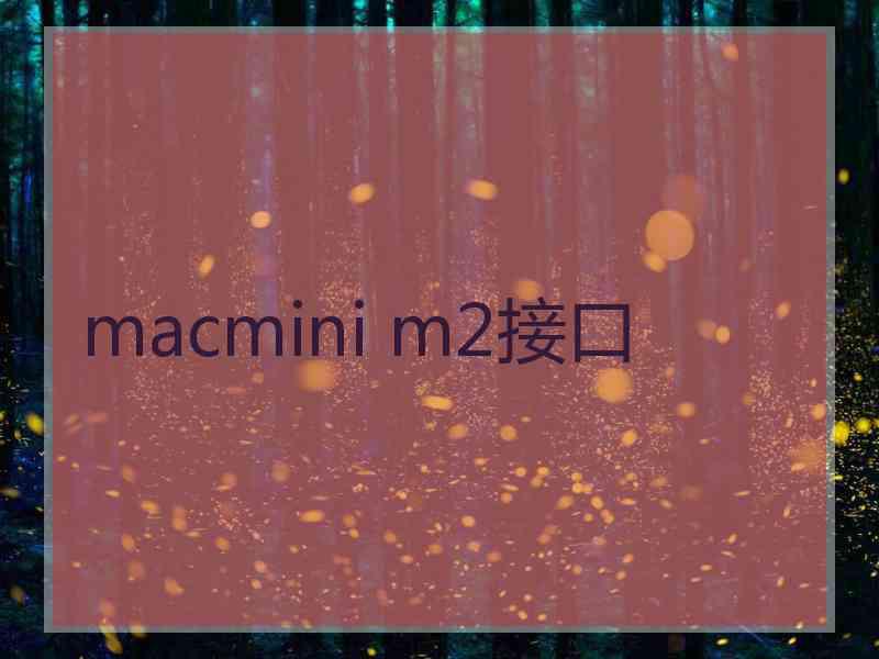 macmini m2接口