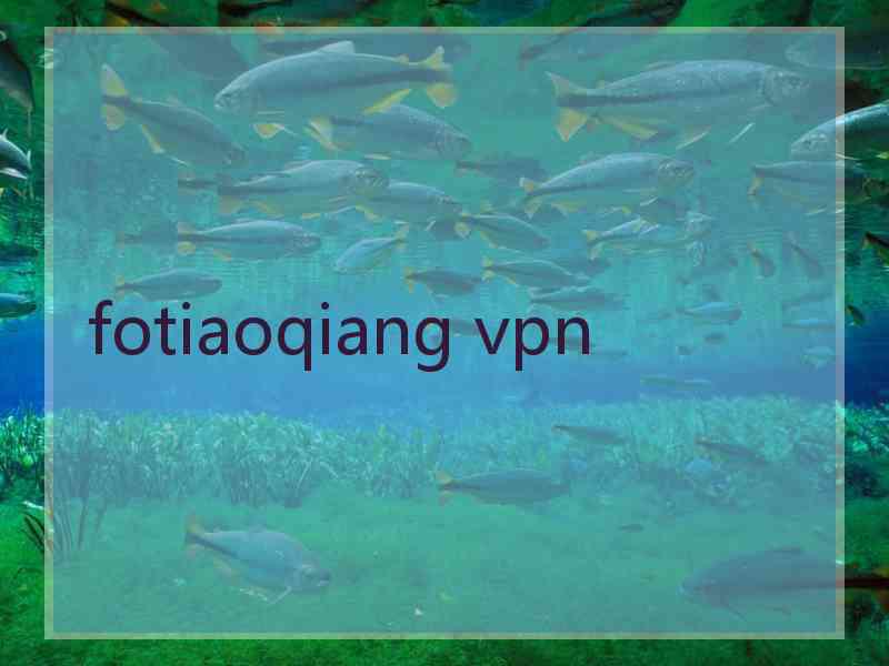fotiaoqiang vpn