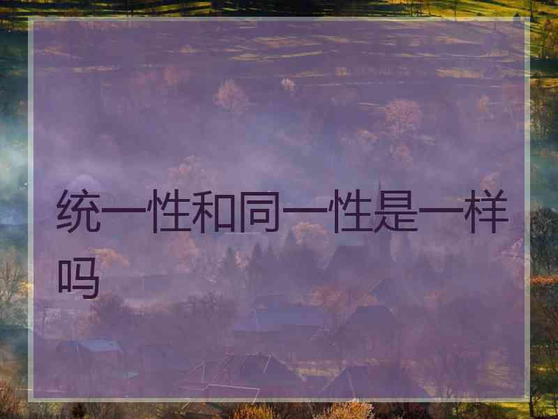 统一性和同一性是一样吗