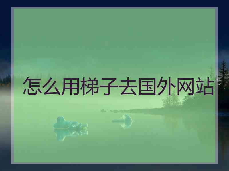 怎么用梯子去国外网站
