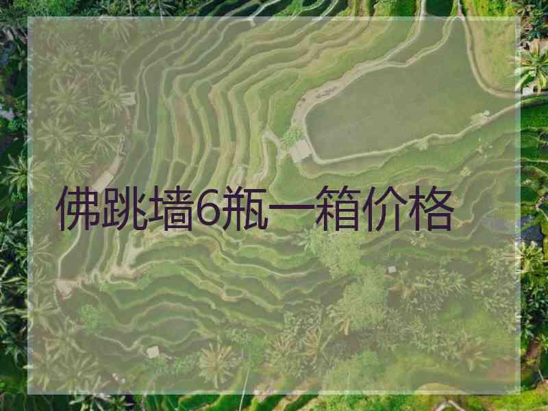 佛跳墙6瓶一箱价格