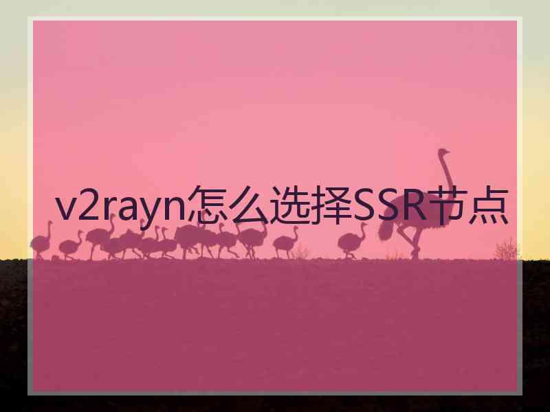 v2rayn怎么选择SSR节点