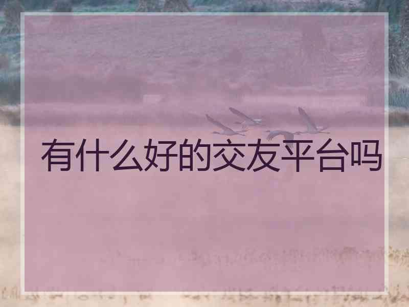 有什么好的交友平台吗