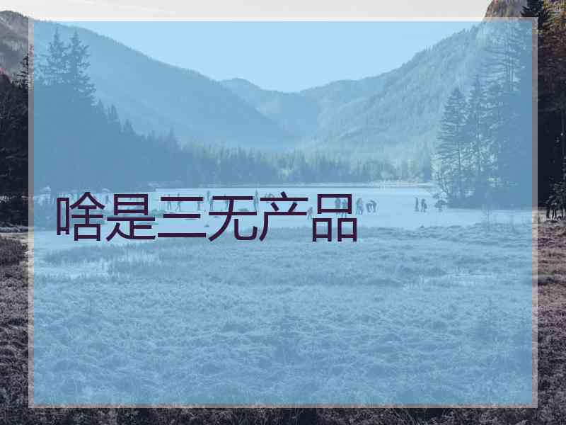 啥是三无产品