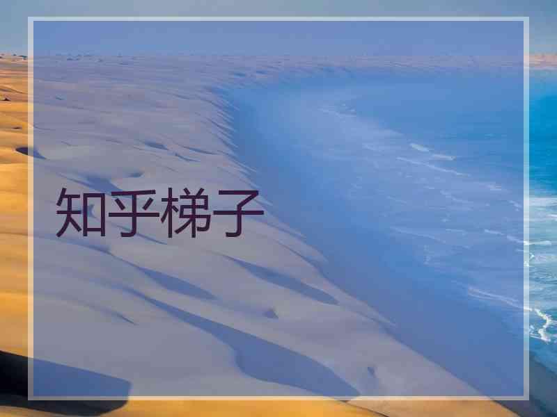 知乎梯子